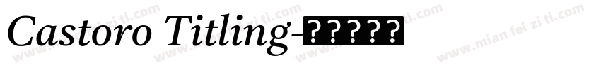 Castoro Titling字体转换